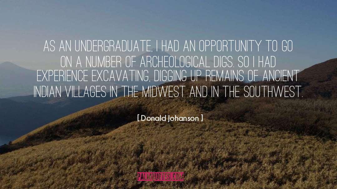 Chestney Excavating quotes by Donald Johanson