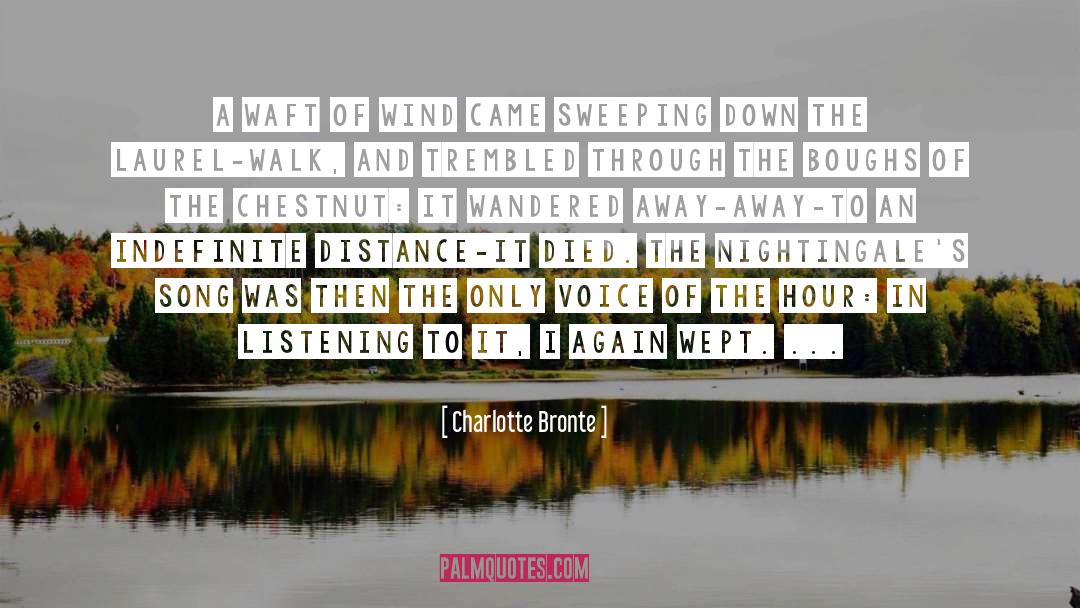 Chestnut quotes by Charlotte Bronte