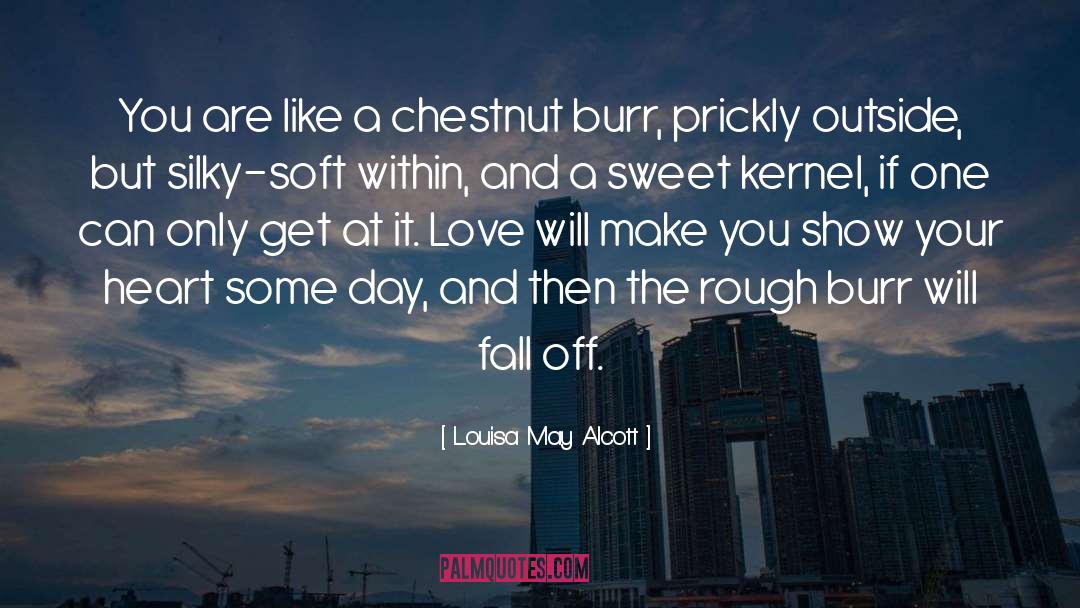 Chestnut quotes by Louisa May Alcott