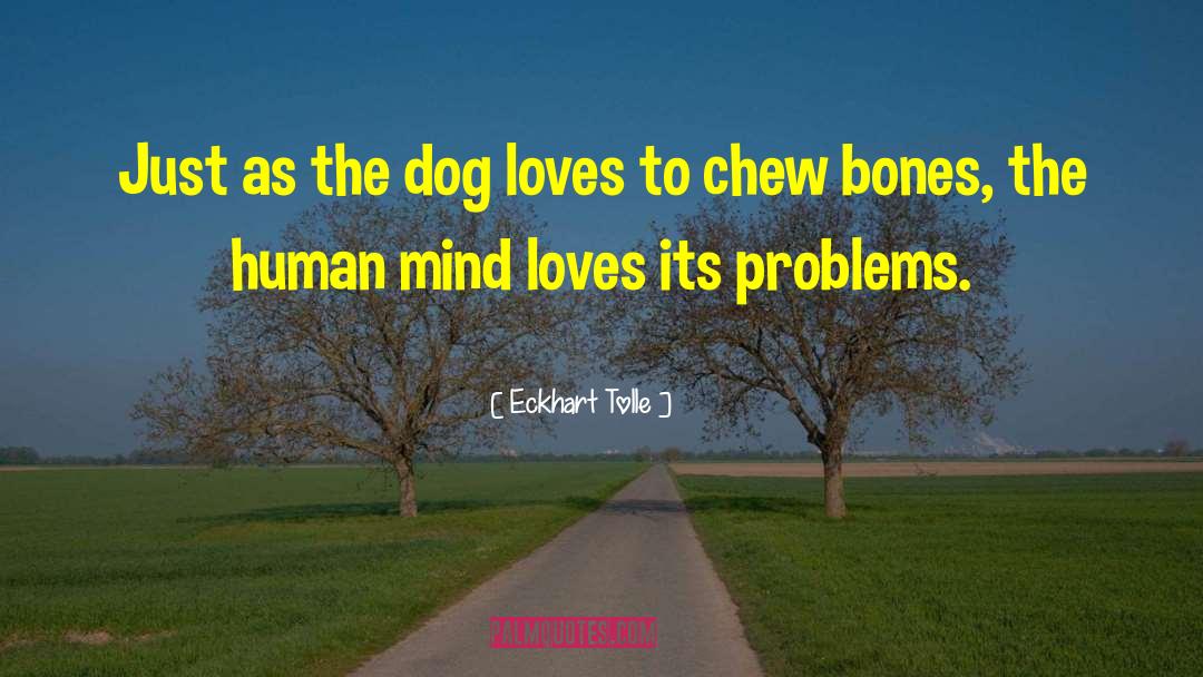 Chew quotes by Eckhart Tolle