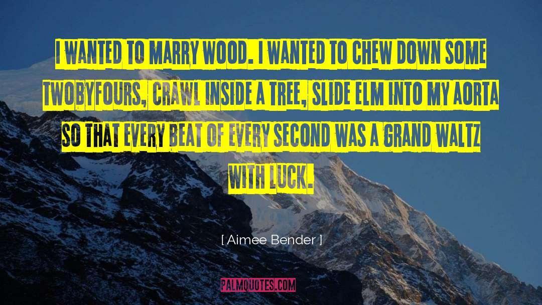 Chew quotes by Aimee Bender