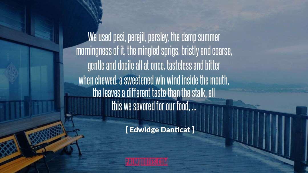 Chewed quotes by Edwidge Danticat
