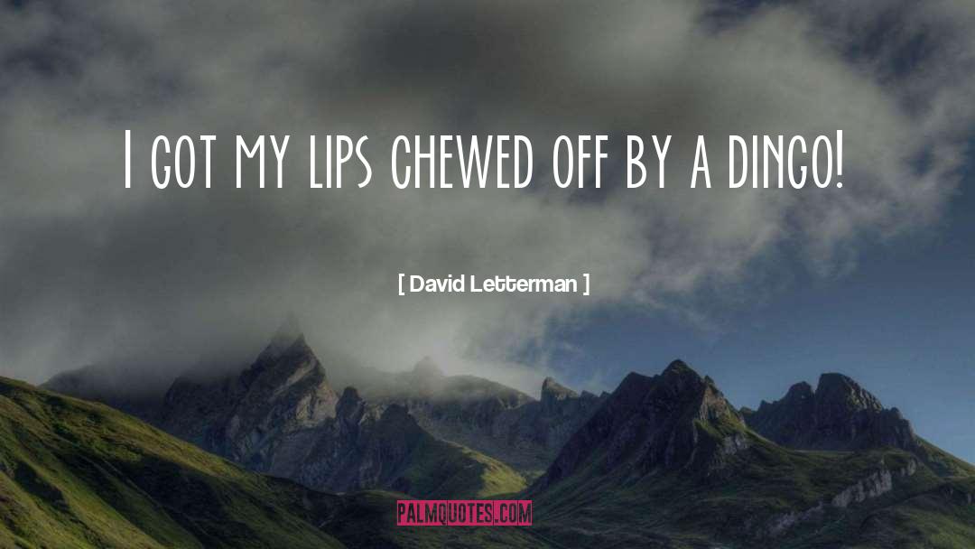 Chewed quotes by David Letterman