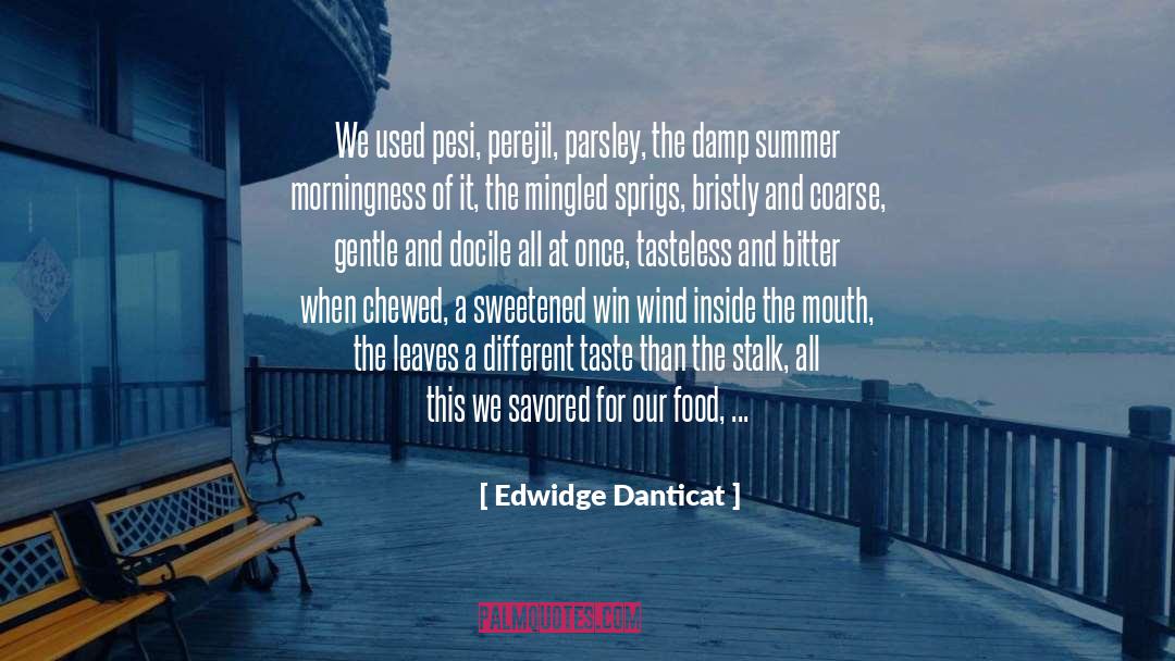 Chewed Up quotes by Edwidge Danticat