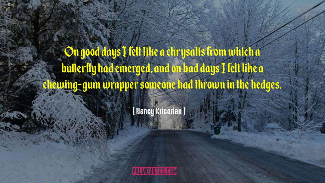 Chewing Gum quotes by Nancy Kricorian