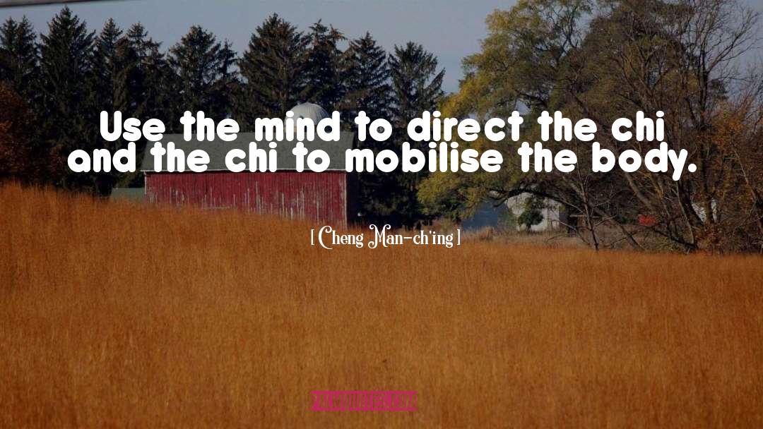 Chi quotes by Cheng Man-ch'ing