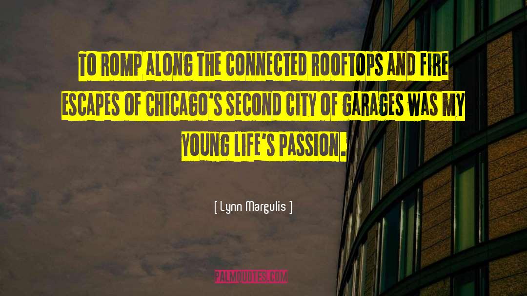Chicago Fire Joyriding quotes by Lynn Margulis