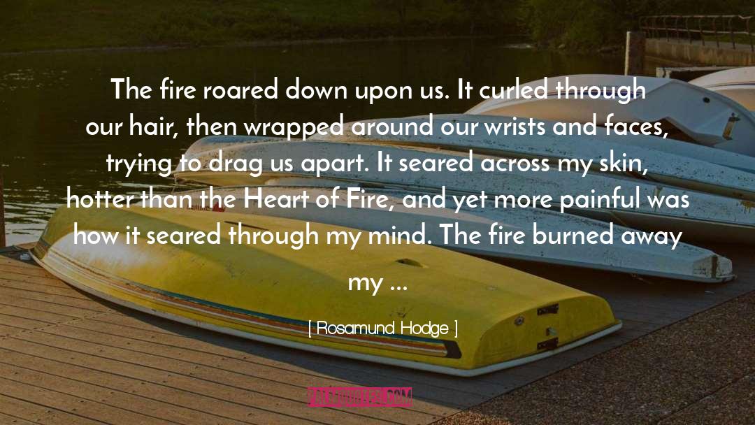 Chicago Fire quotes by Rosamund Hodge