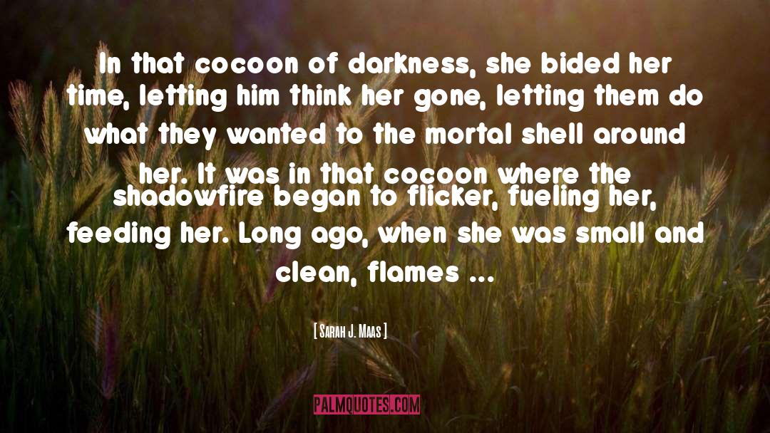 Chicago Fire quotes by Sarah J. Maas