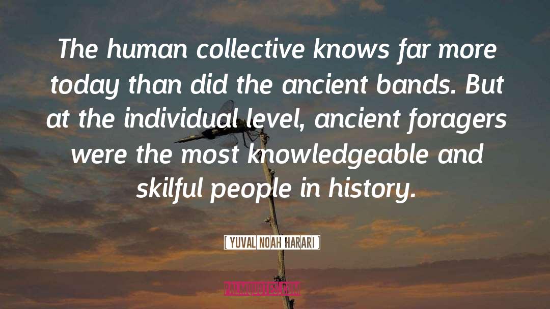 Chicago History quotes by Yuval Noah Harari