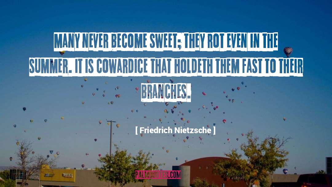 Chicago Summer quotes by Friedrich Nietzsche