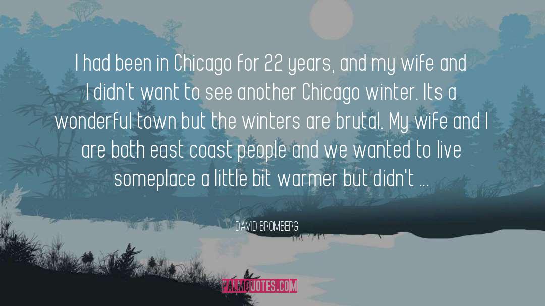 Chicago Winter quotes by David Bromberg