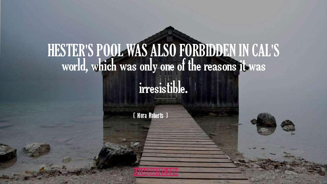 Chicagoan Pool quotes by Nora Roberts