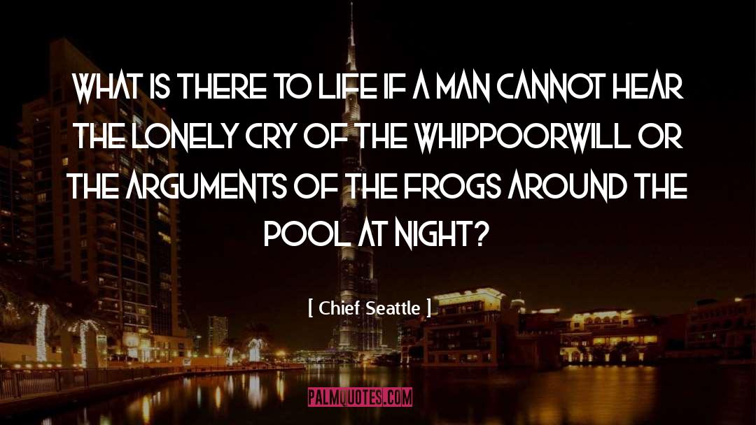 Chicagoan Pool quotes by Chief Seattle