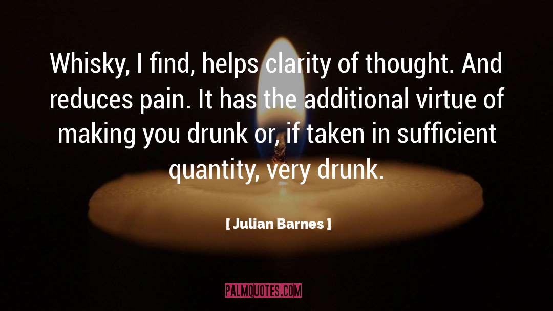 Chichibu Whisky quotes by Julian Barnes