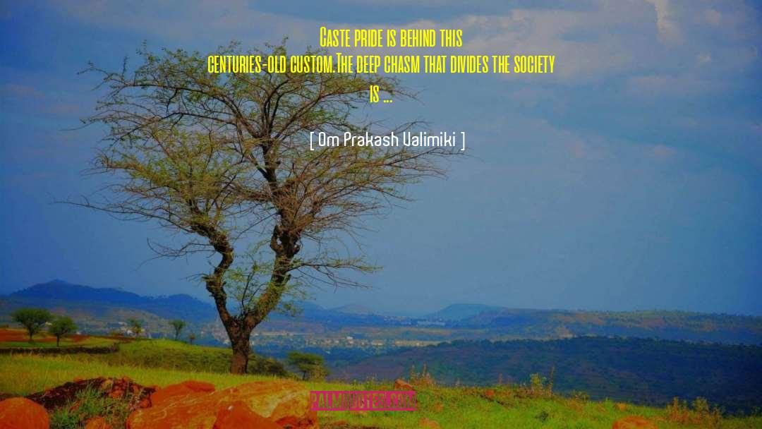 Chickee Indian quotes by Om Prakash Valimiki