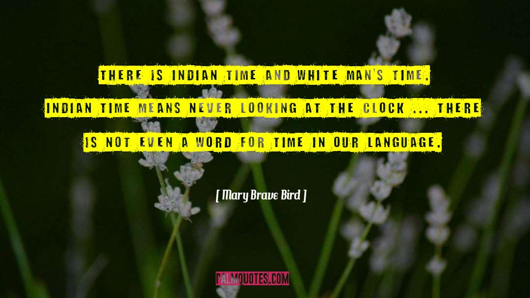 Chickee Indian quotes by Mary Brave Bird