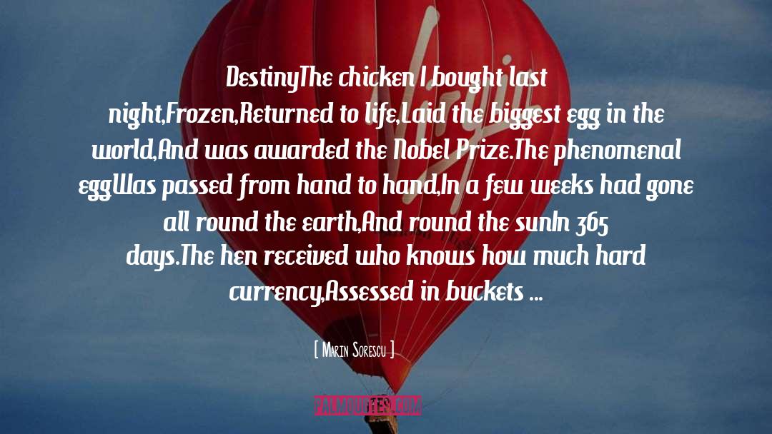 Chicken Egg Stuff quotes by Marin Sorescu