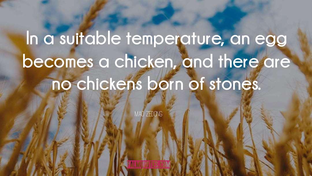 Chicken Egg Stuff quotes by Mao Zedong