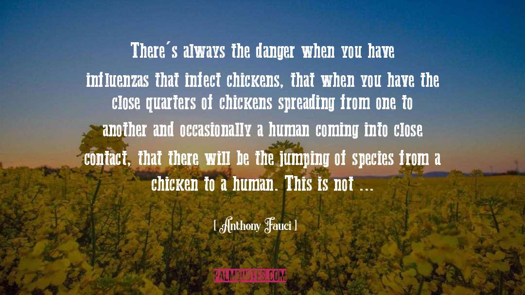 Chicken quotes by Anthony Fauci