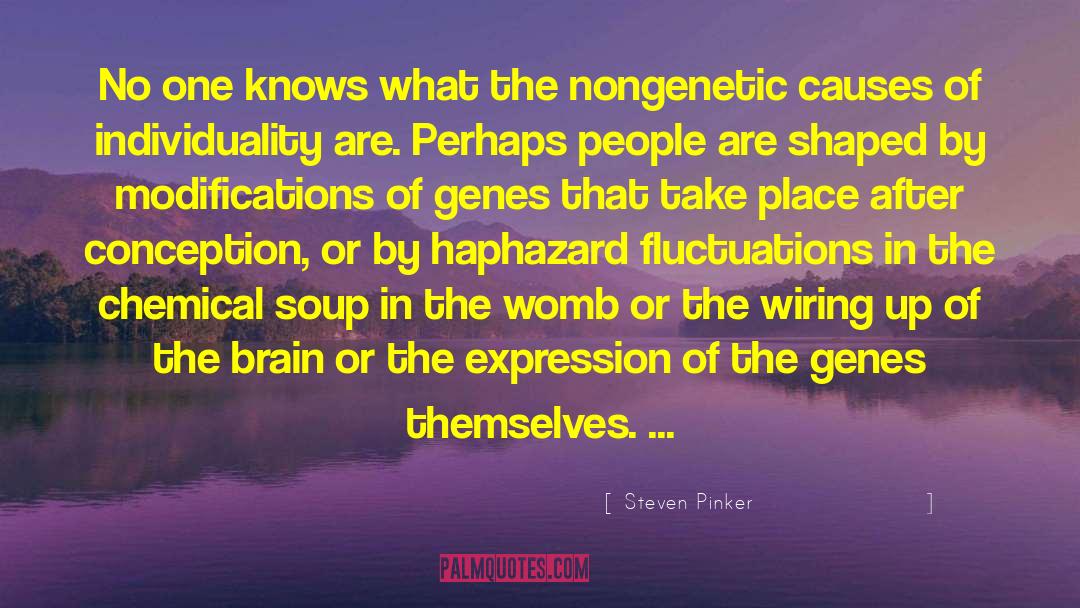 Chicken Soup quotes by Steven Pinker