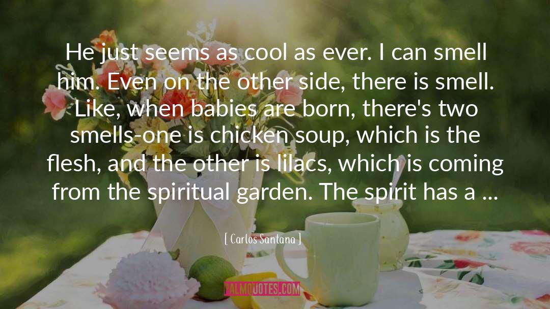 Chicken Soup quotes by Carlos Santana