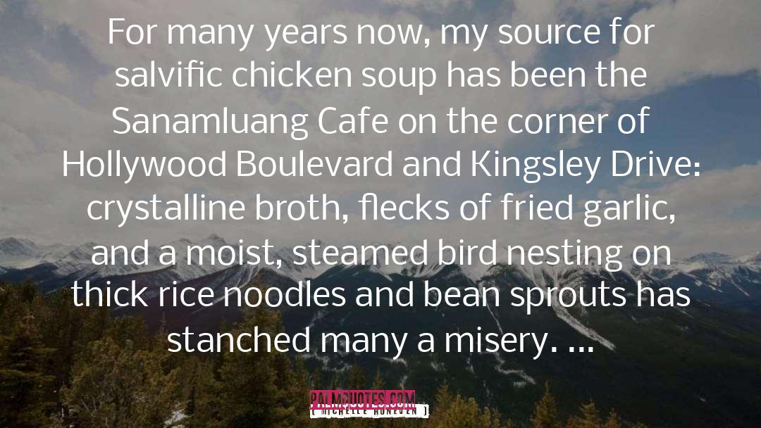 Chicken Soup quotes by Michelle Huneven