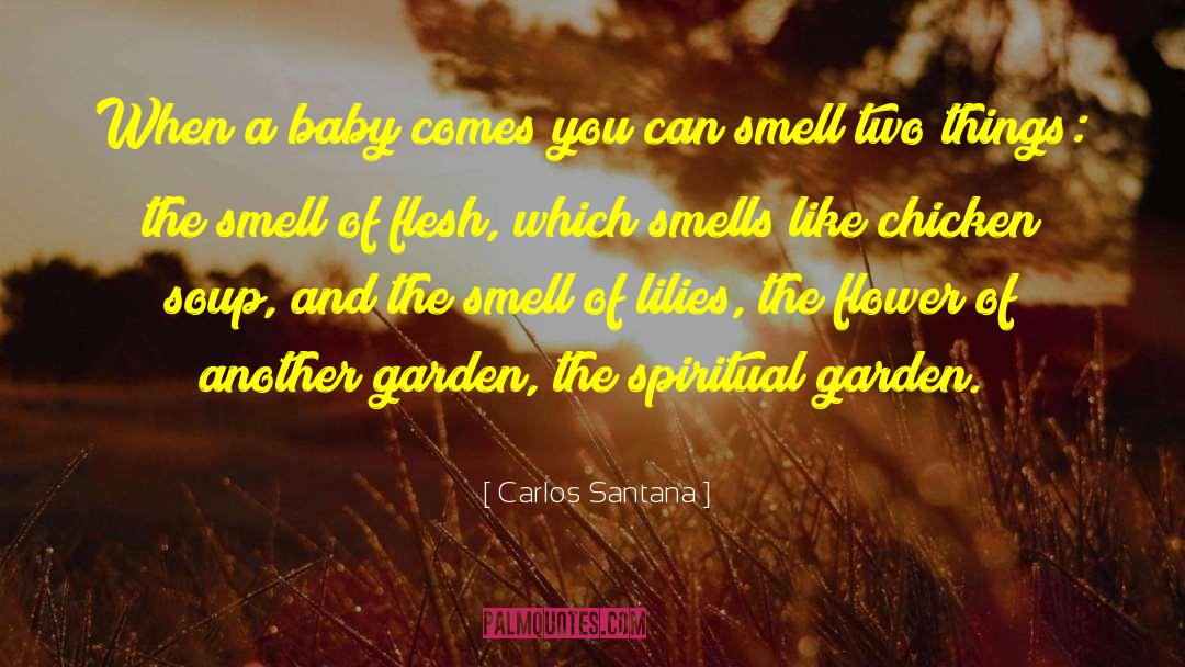 Chicken Soup quotes by Carlos Santana