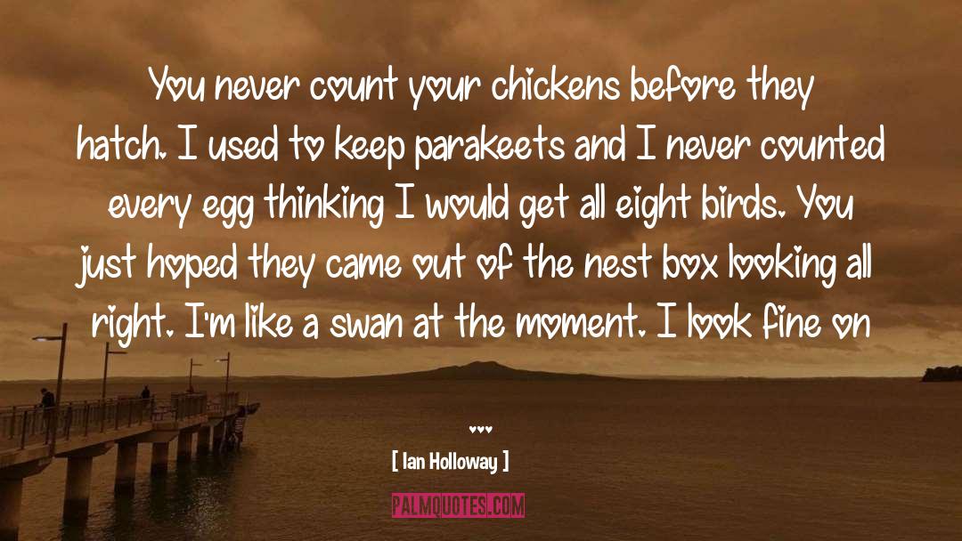 Chickens Bruneti quotes by Ian Holloway