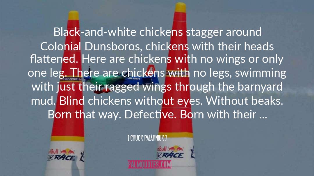 Chickens quotes by Chuck Palahniuk