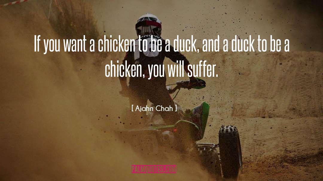 Chickens quotes by Ajahn Chah