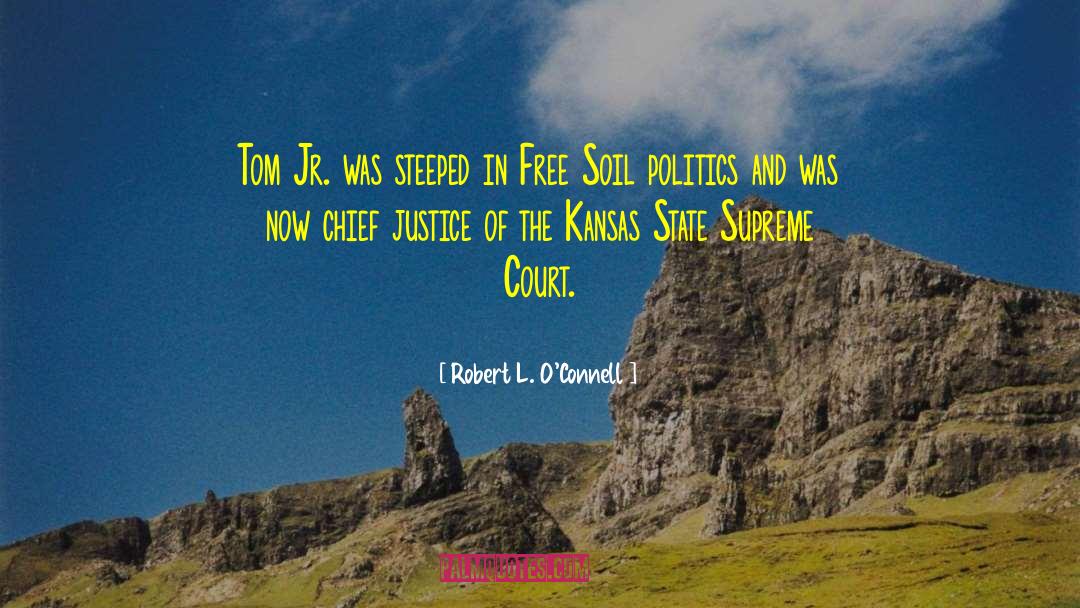Chief Justice quotes by Robert L. O'Connell