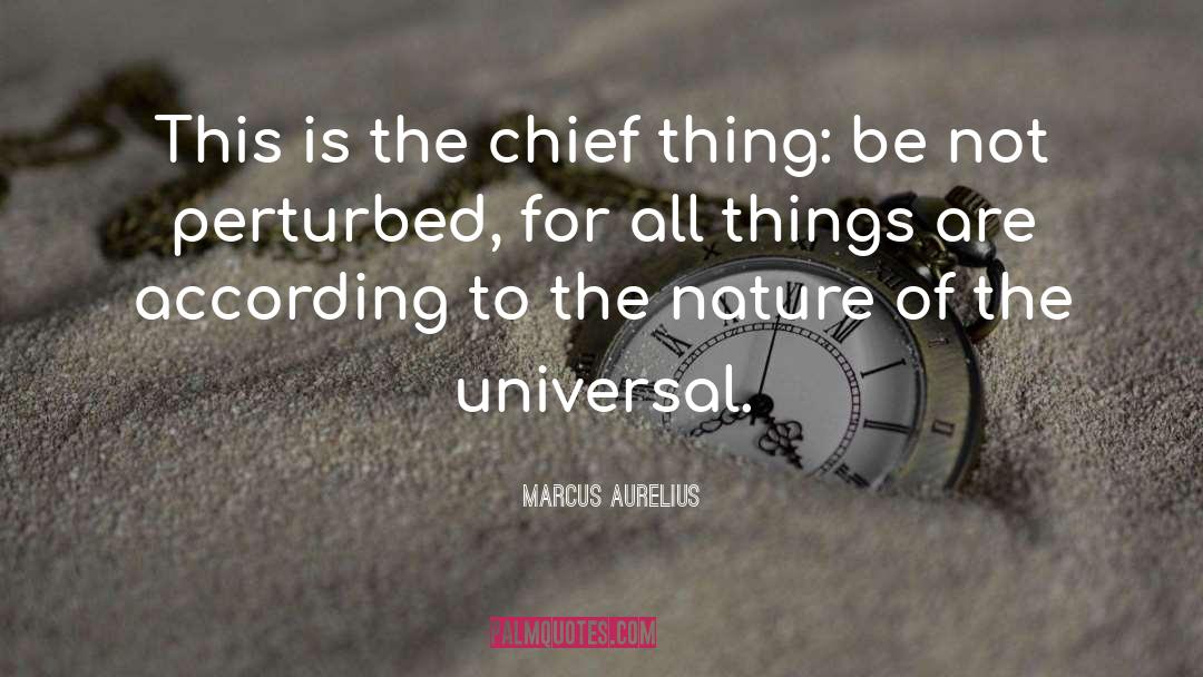 Chief Wyatt Porter quotes by Marcus Aurelius