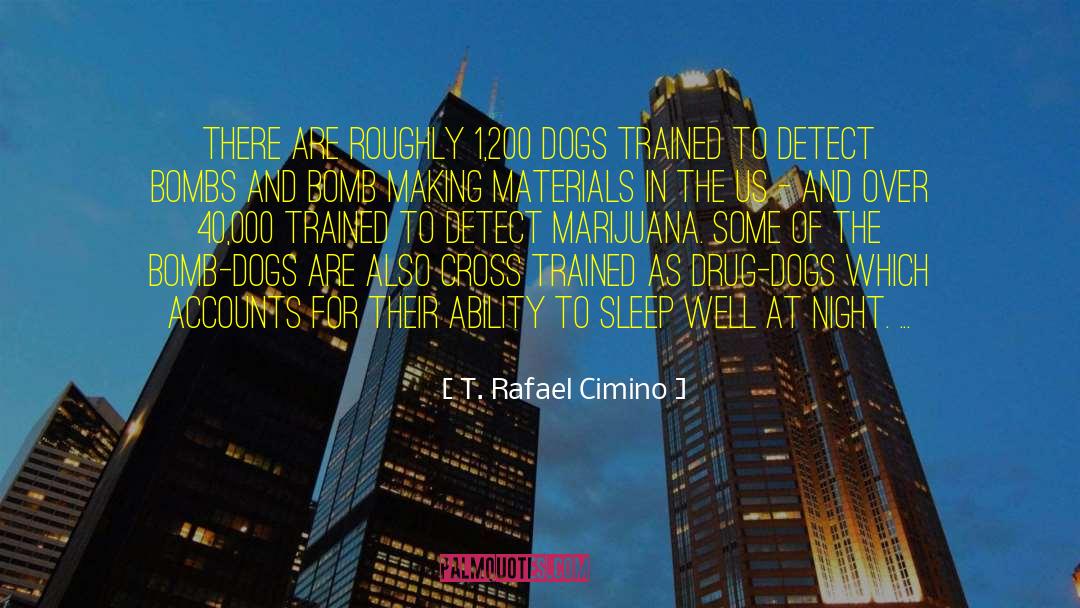 Chiesel Marijuana quotes by T. Rafael Cimino