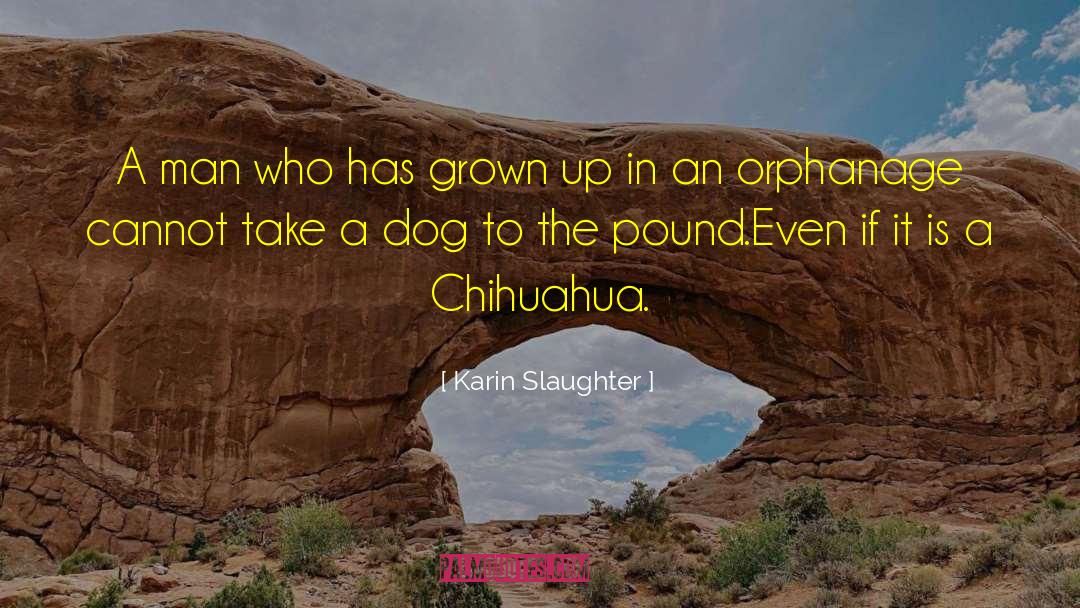 Chihuahua quotes by Karin Slaughter
