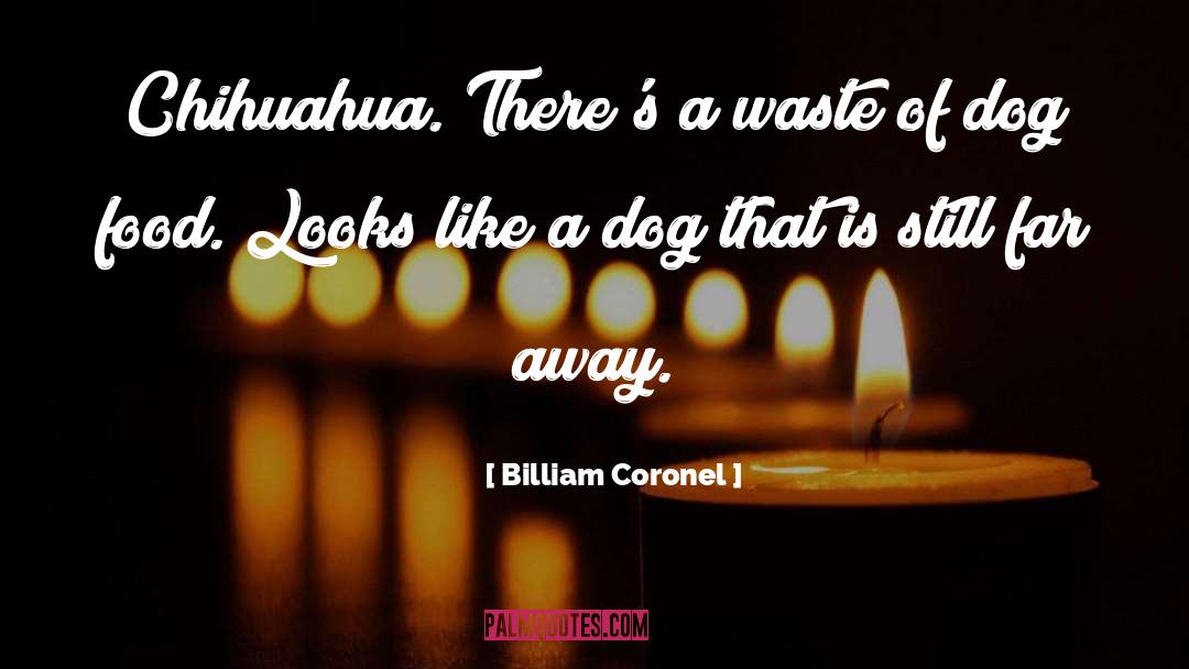 Chihuahua quotes by Billiam Coronel
