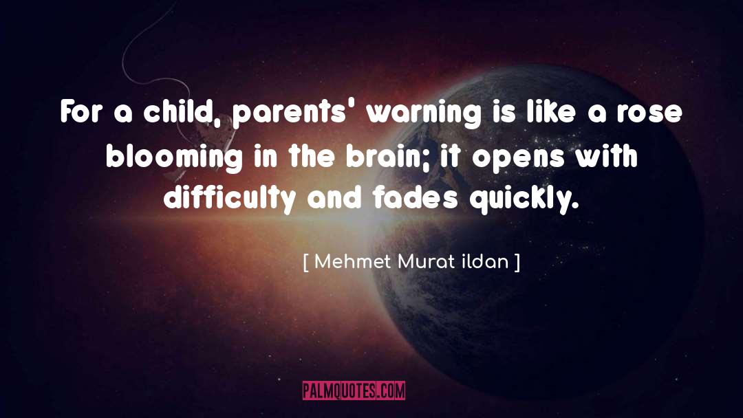 Child Abusers quotes by Mehmet Murat Ildan