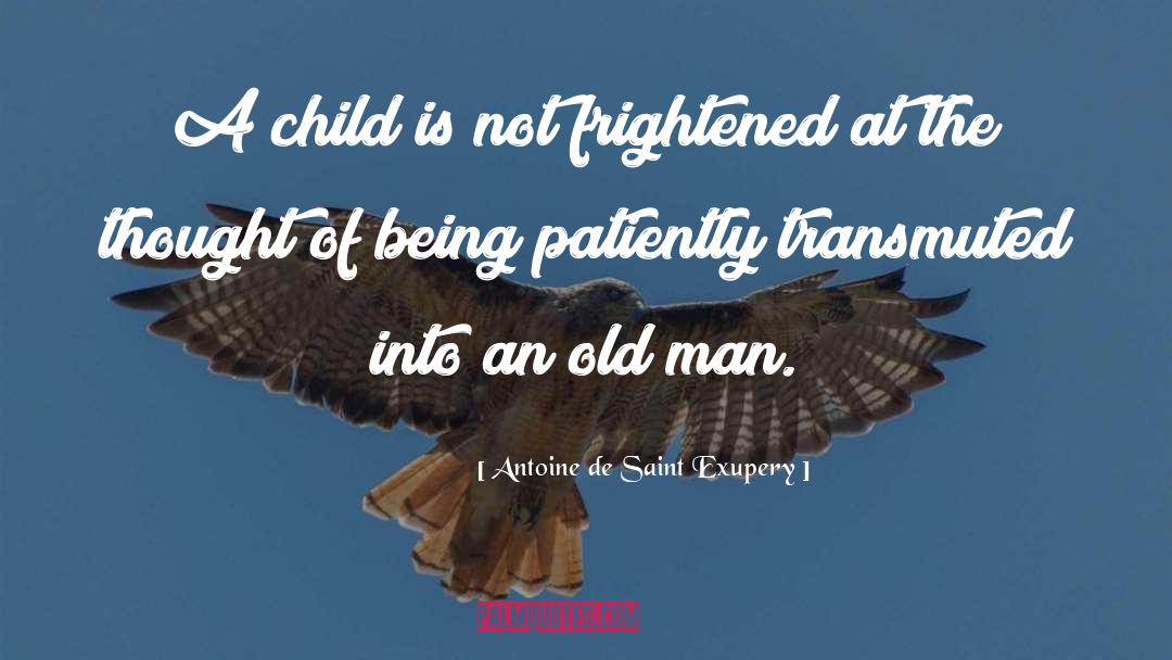 Child Custody quotes by Antoine De Saint Exupery