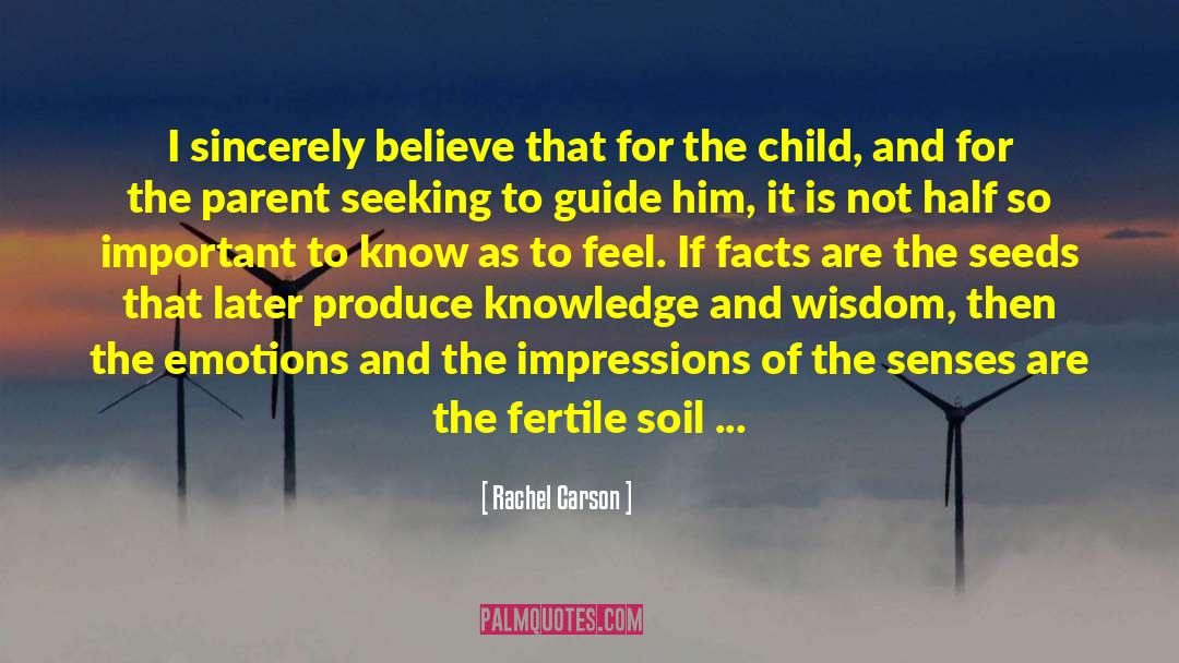 Child Parent Relationship quotes by Rachel Carson