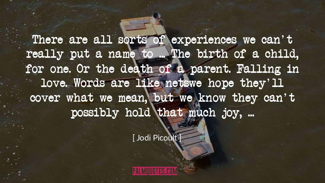 Child Rapist quotes by Jodi Picoult