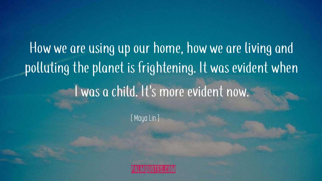 Child Sexuall Abuse quotes by Maya Lin