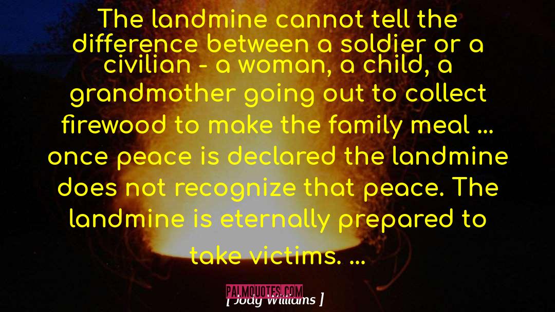 Child Soldier Slavery quotes by Jody Williams