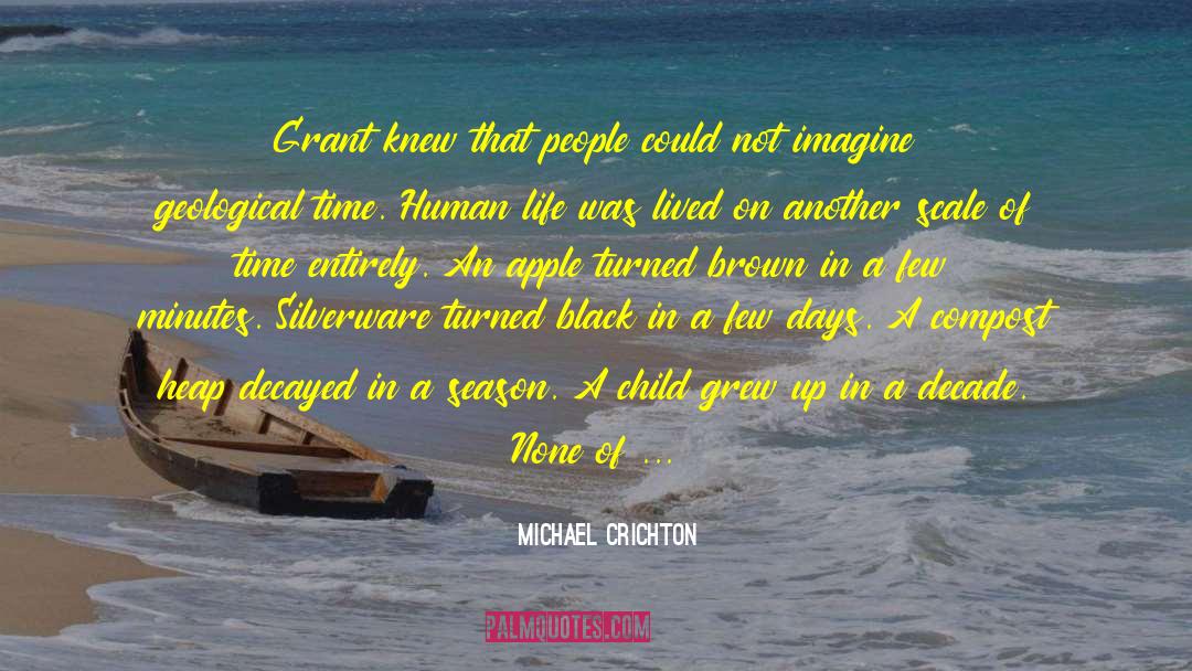 Child Washer quotes by Michael Crichton