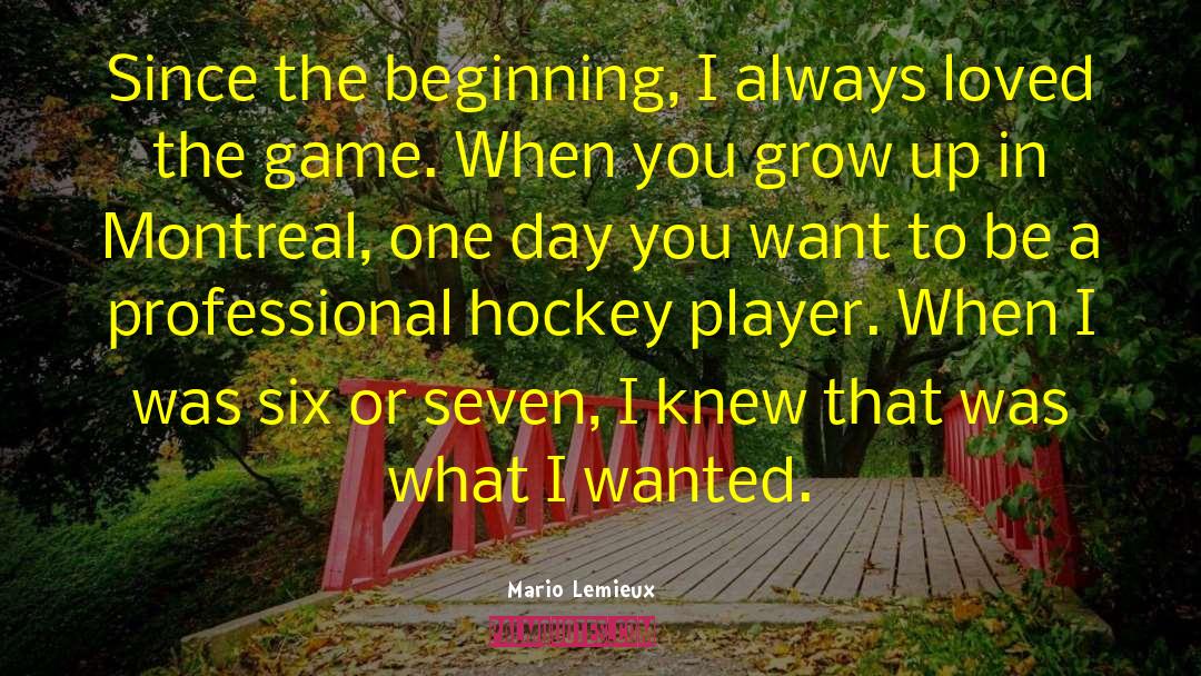 Childhood Game quotes by Mario Lemieux