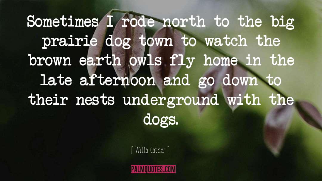 Childhood Home quotes by Willa Cather