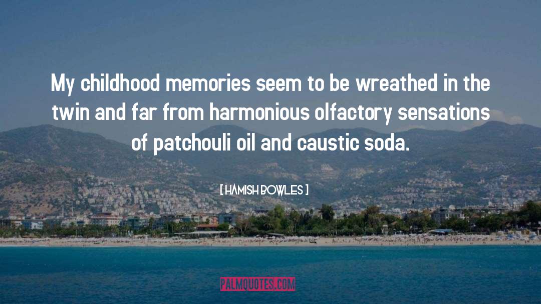 Childhood Memories quotes by Hamish Bowles