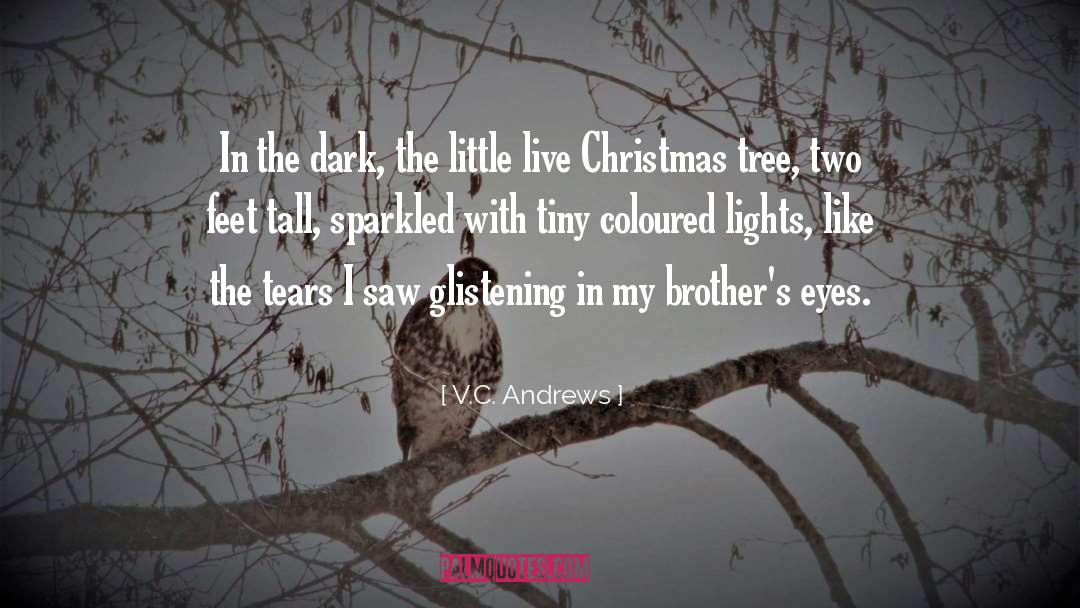Childhood quotes by V.C. Andrews