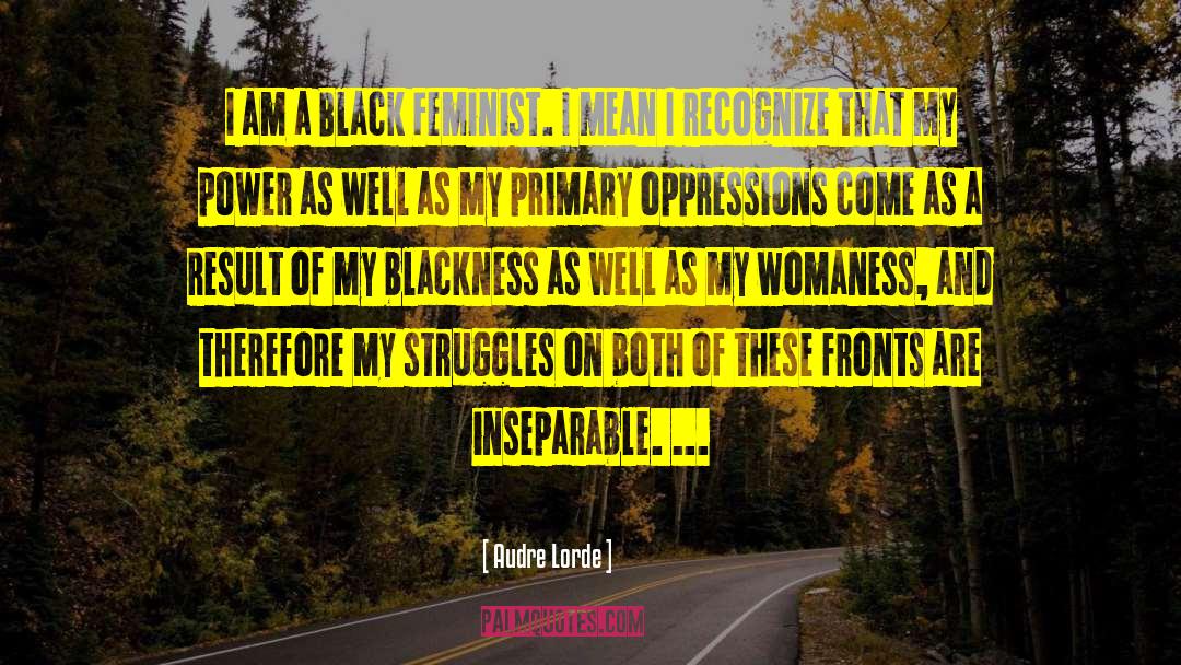 Childhood Struggles quotes by Audre Lorde