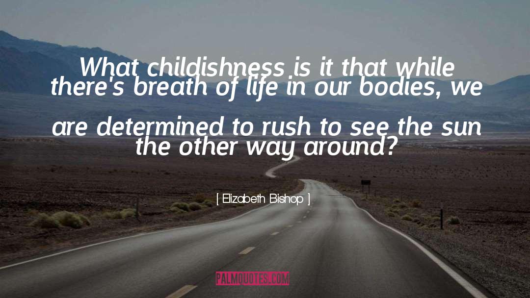 Childishness quotes by Elizabeth Bishop