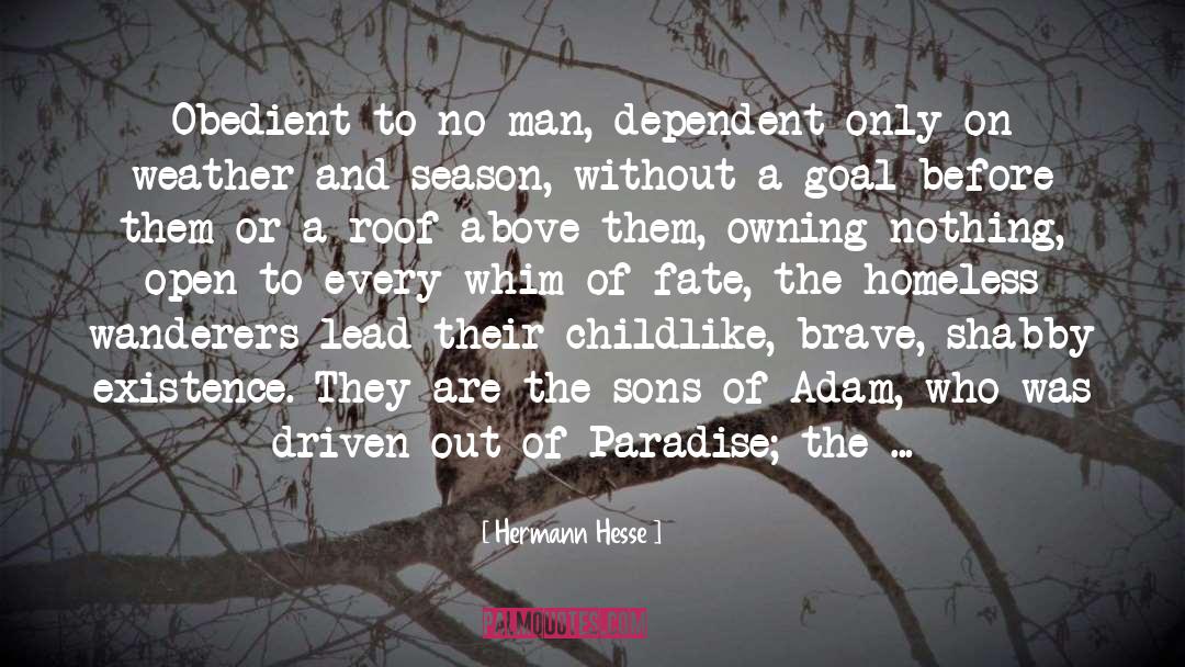 Childishness quotes by Hermann Hesse